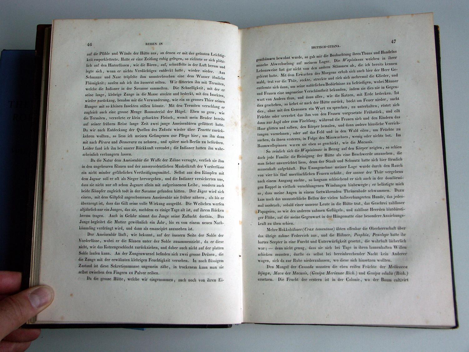 ZZ-RISC48,S.046 zahme Vögel Crax Psophia Penelope